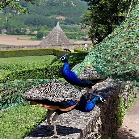 Dreamy 2br Dordogne Hideaway With Heated Pool And Views Holiday home *